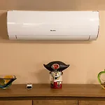 Pelsoart