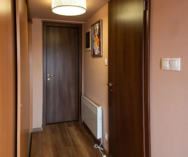 Apartman Pelsoart